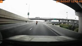 摩托骑手高架坠亡怎么回事：视频始末这到底是个什么梗