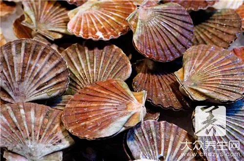 蛤蜊肉干的做法大全有哪些？
