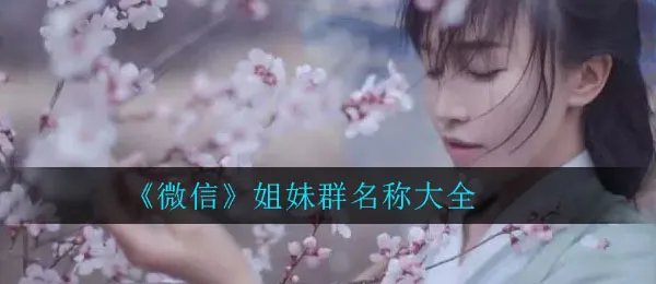 《微信》姐妹群名称大全