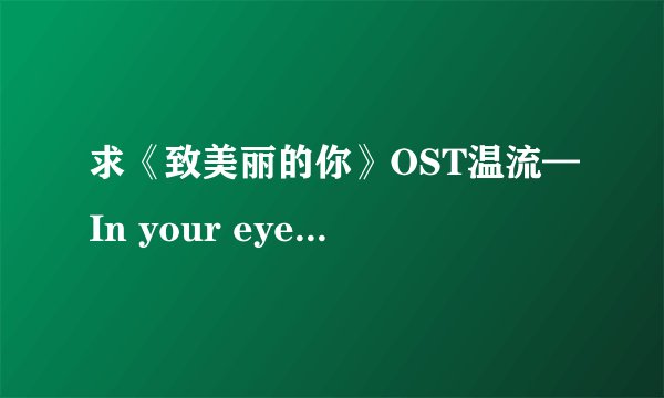 求《致美丽的你》OST温流—In your eyes 的 中文歌词，带时间轴的！