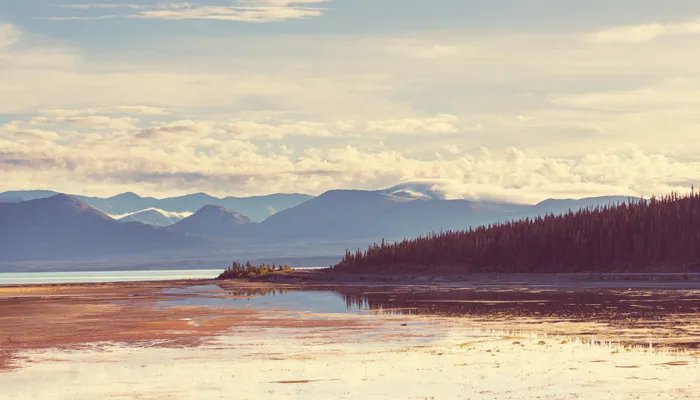 美国波士顿大学在哪个州