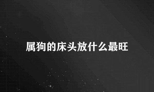 属狗的床头放什么最旺
