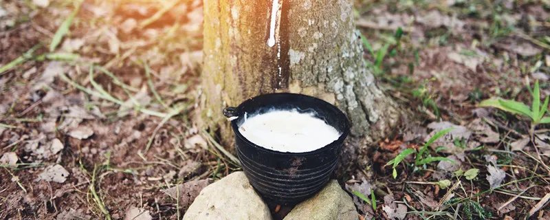 天然橡胶的用途  天然橡胶的用途有什么
