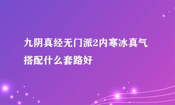 九阴真经无门派2内寒冰真气搭配什么套路好