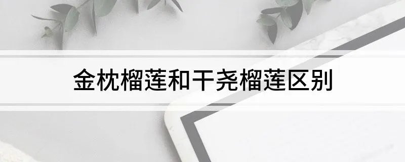 金枕榴莲和干尧榴莲区别