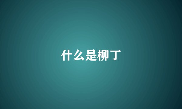 什么是柳丁