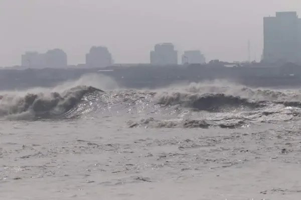 壮观！钱塘江边闪现数百米高大“参天大树”，这是如何形成的？