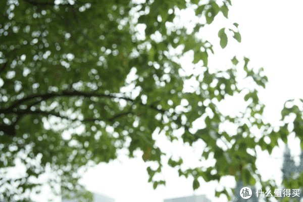 美能达镜头推荐