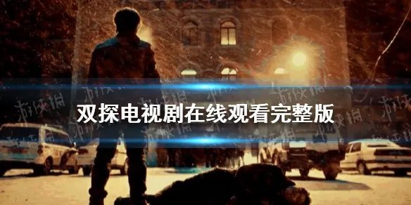 双探电视剧在线观看完整版 双探电视剧什么时候播