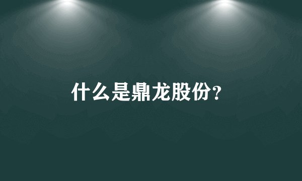 什么是鼎龙股份？