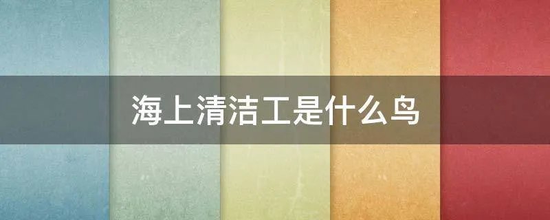 海上清洁工是什么鸟